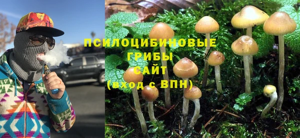 не бодяженный Баксан